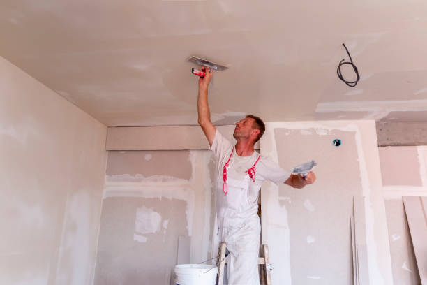 Professional Dry wall and painting in Mount Ayr, IA