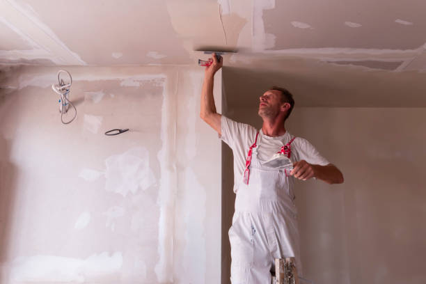  Mount Ayr, IA Dry wall and painting Pros