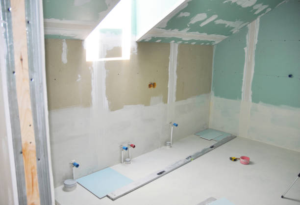 Best Drywall Sanding and Smoothing  in Mount Ayr, IA